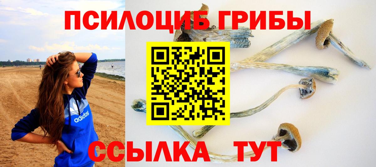 Псилоцибиновые грибы ЛСД  Вход с VPN  где купить наркотик  Клинцы 